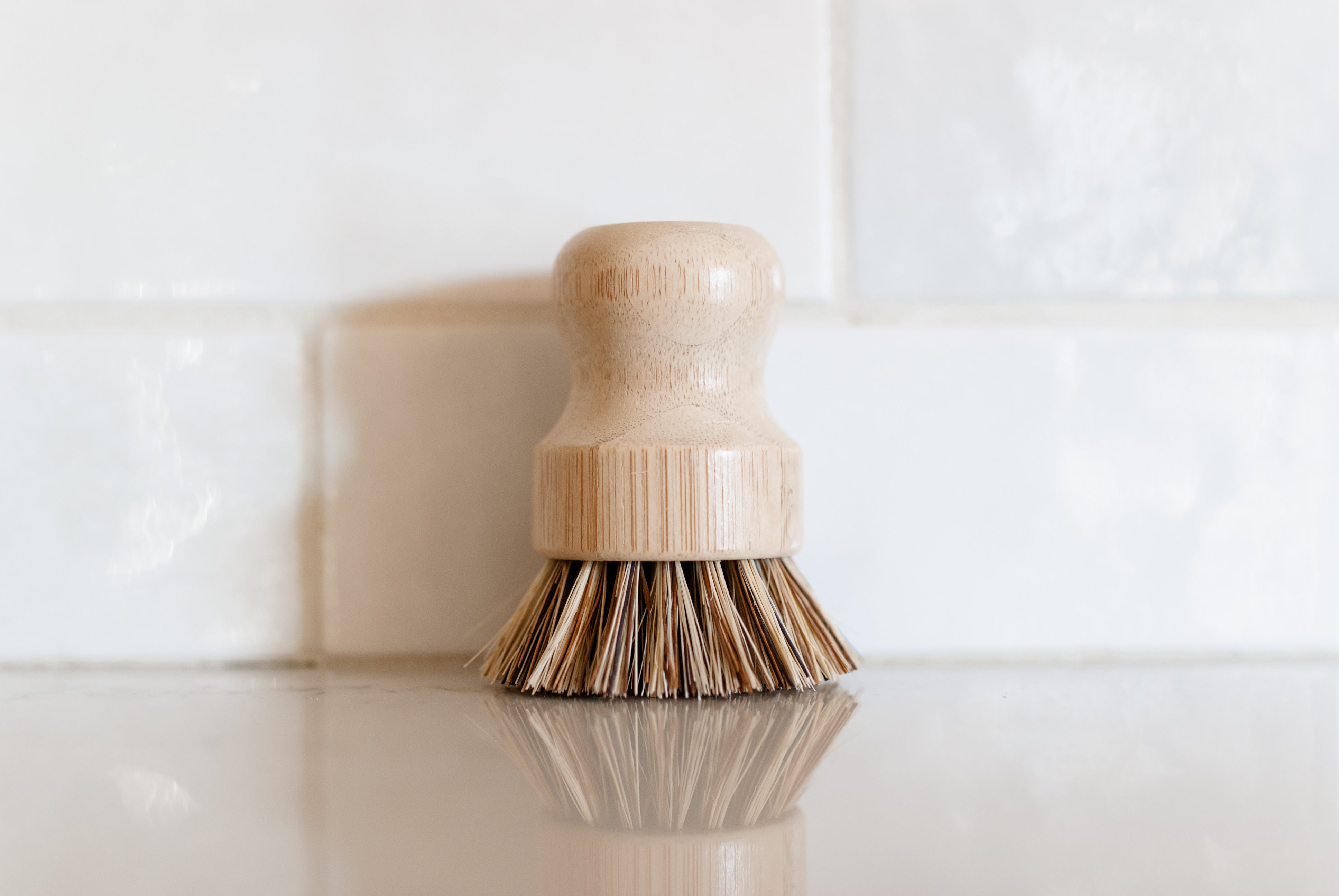 Divine Dish Scrubber Collectively Divine