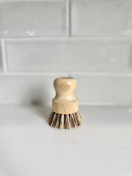 Divine Dish Scrubber